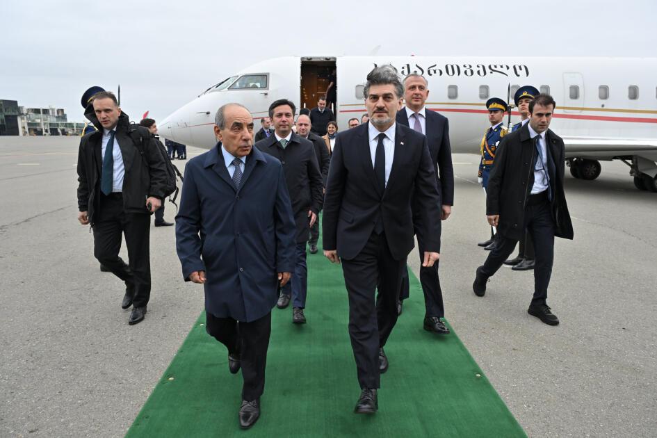Gürcüstan Prezidenti Azərbaycana rəsmi səfərə gəlib - FOTO