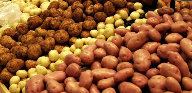 Ölkəmizdə və Avropada kartof qiymətinin fərqi şok etdi