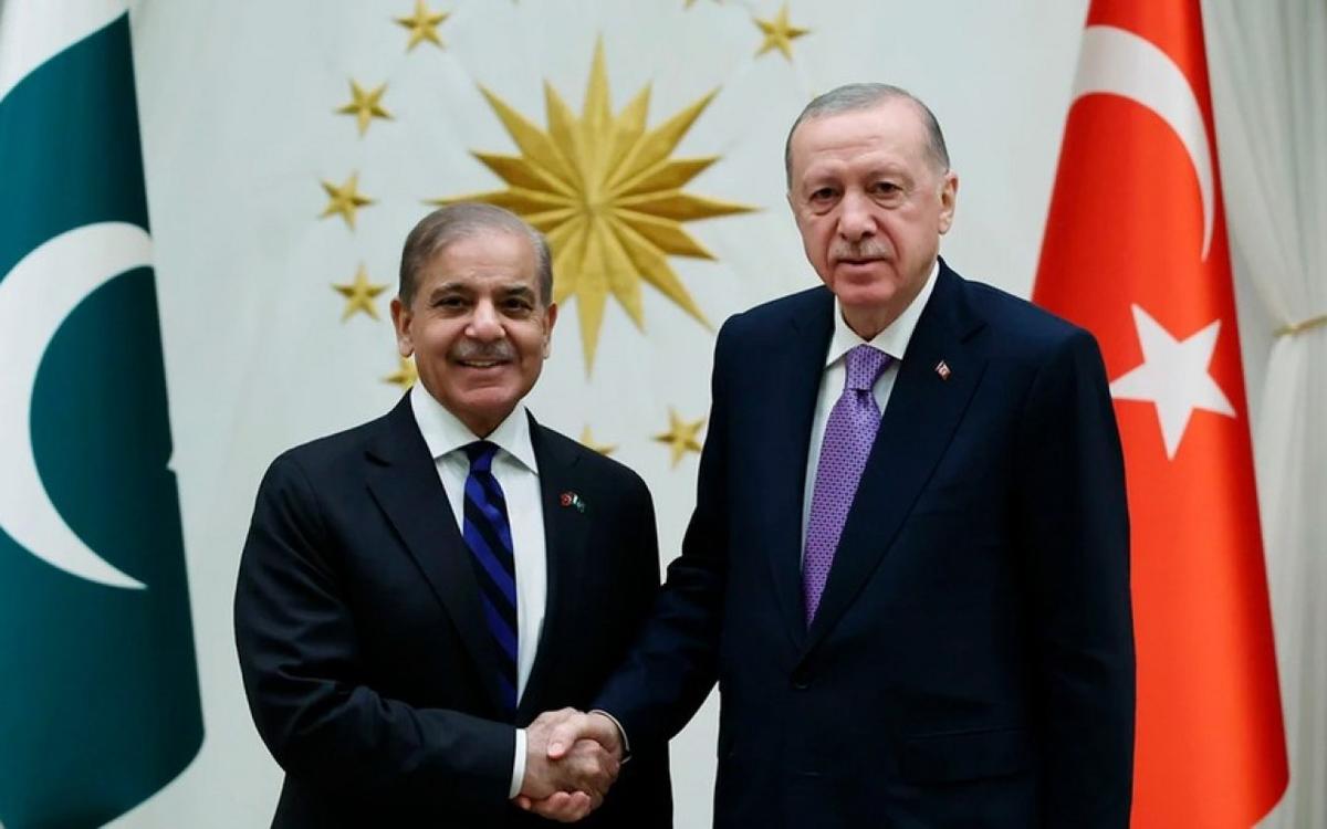 Ərdoğan Şahbaz Şəriflə görüşdü