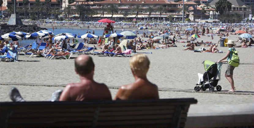 Turistik bölgələrdə elektrik qarışqaları aşkar edildi: Təhlükəsi nədir?