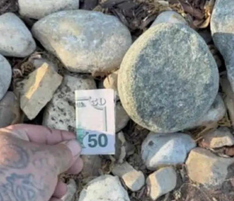 Pulu şəhərin müxtəlif yerlərində gizlədir: Kimdir və bunu niyə edir? - FOTO
