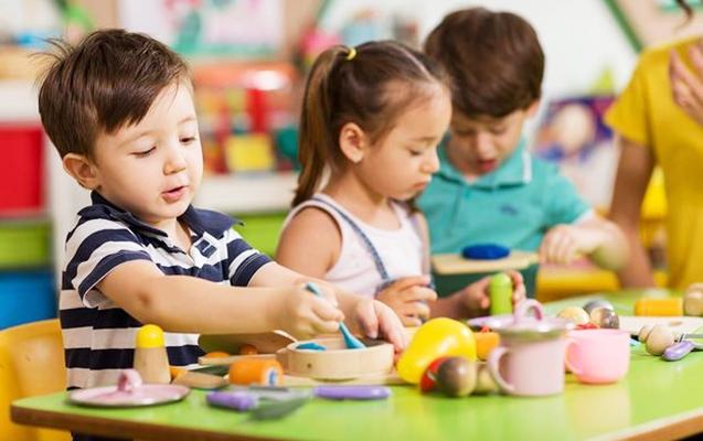 Dövlət bağçalarında ödənişli xidmət göstərilə bilərmi? –RƏSMİ