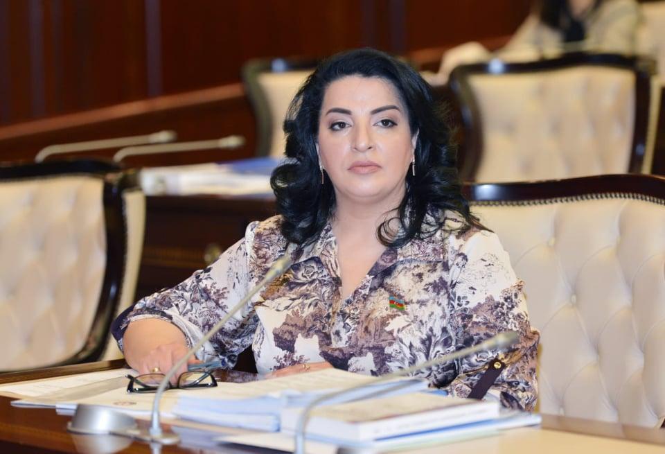 "Bu cəzaların məqsədi qorxutmaq deyil" - Fatma Yıldırım