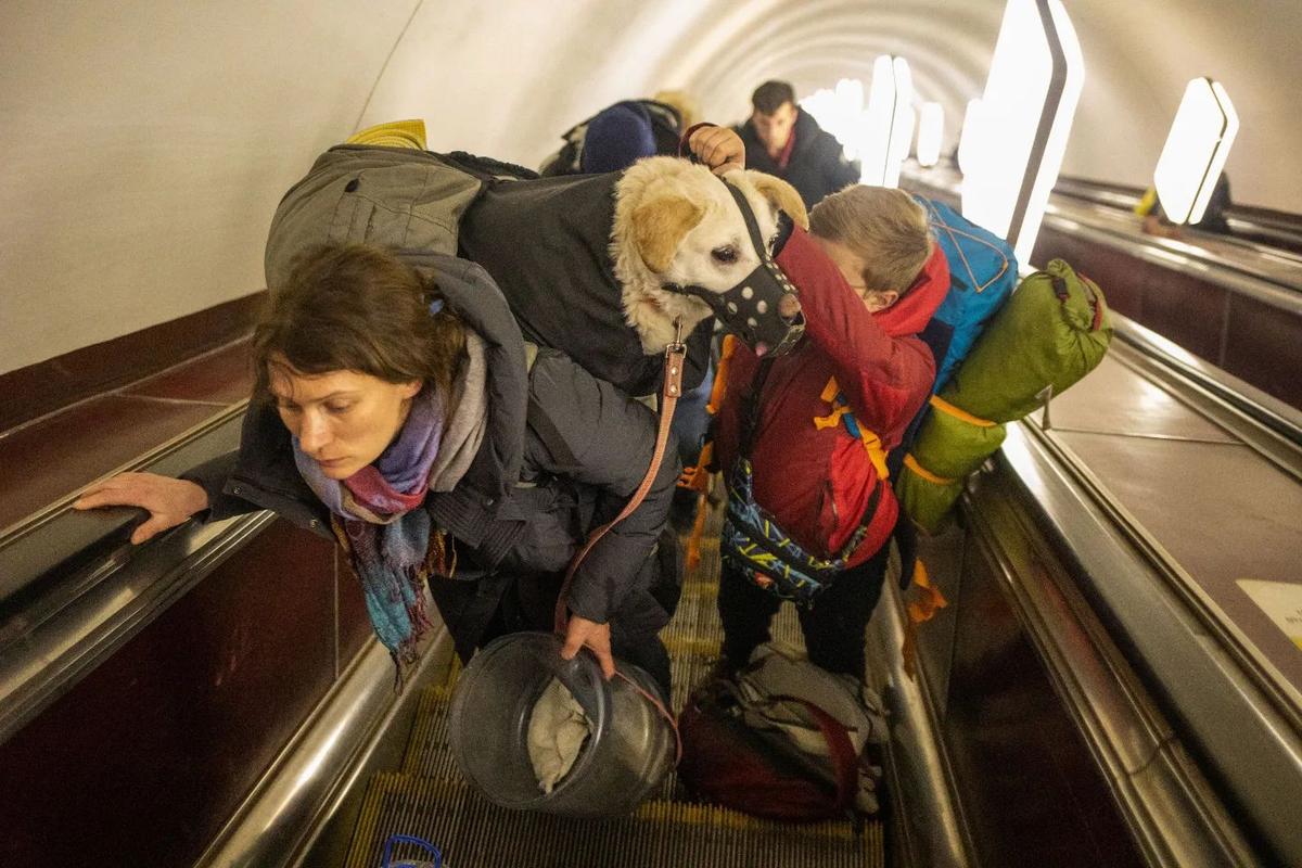 Metroda ev heyvanı daşımaq olmaz? - RƏSMİ CAVAB