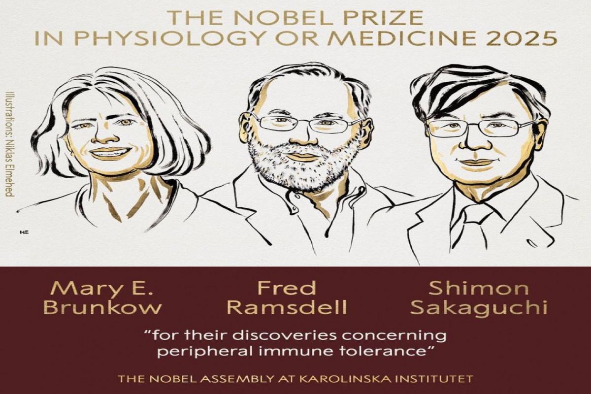 Tibb üzrə Nobel mükafatçıları açıqlandı