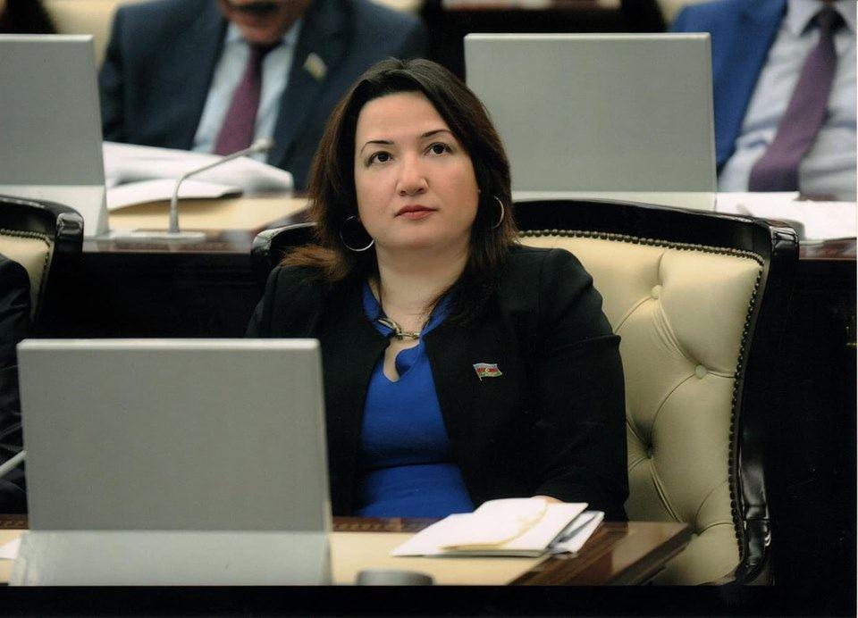 "Qəbələ Zirvə görüşü Azərbaycanın dünyada güclənən mövqeyinin nümayişi idi" - Pərvin Kərimzadə