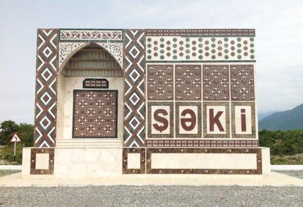 Şəkidə 18 yaşlı hamilə qadının körpəsi ölü doğuldu