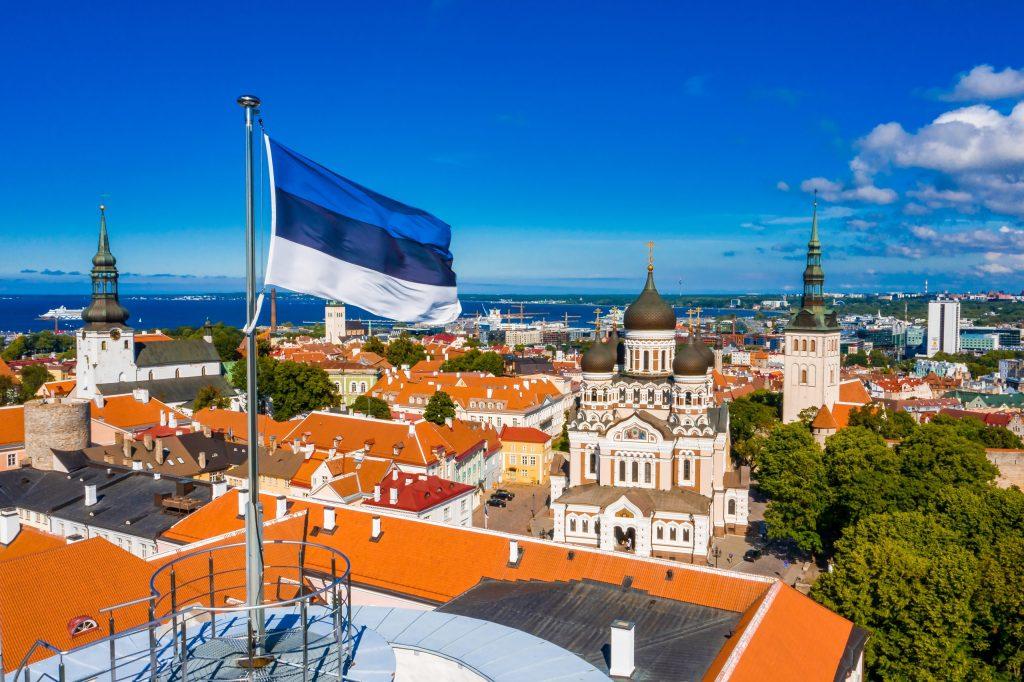 Estoniya Ukrayna ilə bağlı konfransa ev sahibliyi etmək istəyir