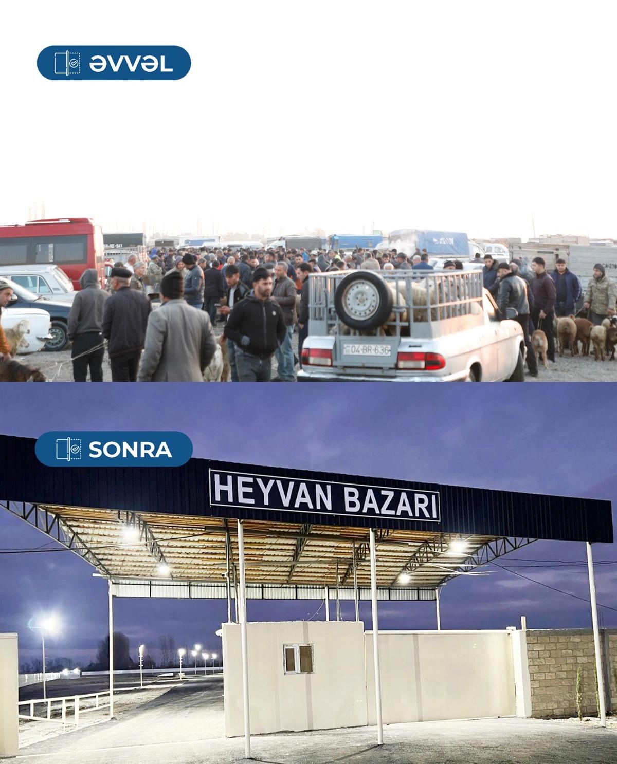 Bərdə heyvan bazarı fəaliyyətini bərpa etdi - FOTO Bərdə heyvan bazarı fəaliyyətini bərpa etdi - FOTO