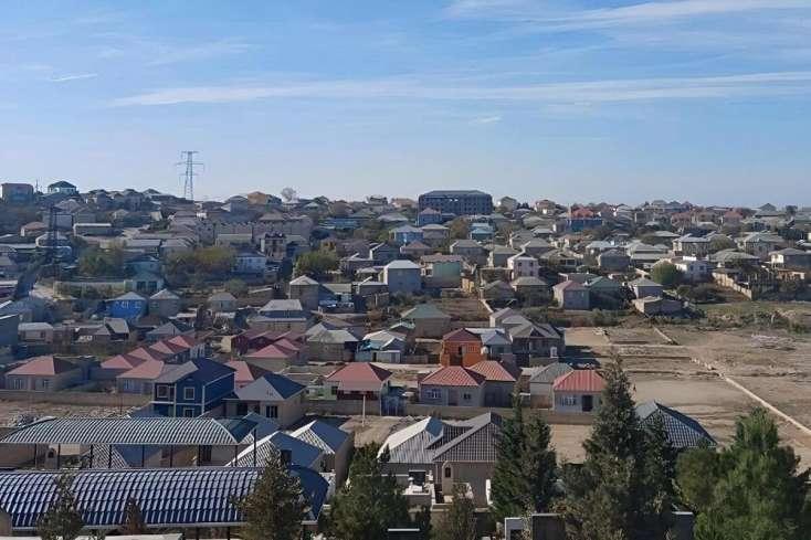 Havalar isindikcə üzə çıxırlar, Bakıda da yayılıb - Ekspert çarəni açıqladı Havalar isindikcə üzə çıxırlar, Bakıda da yayılıb - Ekspert çarəni açıqladı