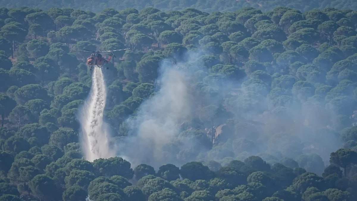 Türkiyədə meşə yanğınlarına görə 9 nəfər həbs edildi - FOTO Türkiyədə meşə yanğınlarına görə 9 nəfər həbs edildi - FOTO
