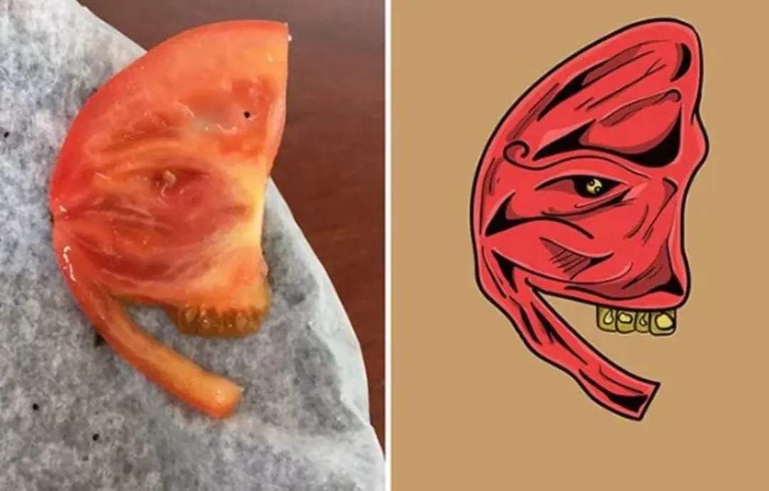 Cansız cisimlərdə gizlənən üzlər – Pareidoliya nədir? Cansız cisimlərdə gizlənən üzlər – Pareidoliya nədir?