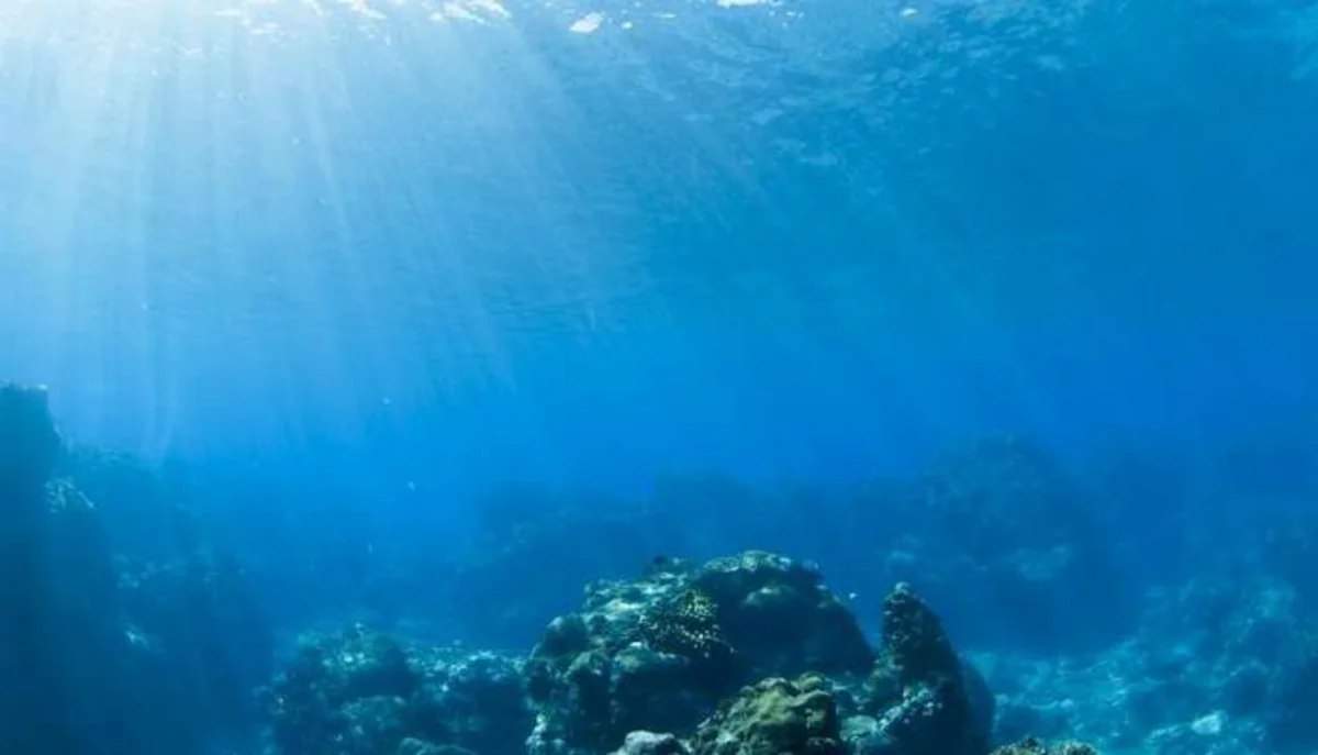 Okeanlar rekord səviyyədə isindi: Planeti nə gözləyir? Okeanlar rekord səviyyədə isindi: Planeti nə gözləyir?