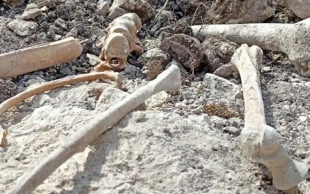 Şuşakənddə insan sümüyünə bənzər qalıqlar tapıldı Şuşakənddə insan sümüyünə bənzər qalıqlar tapıldı