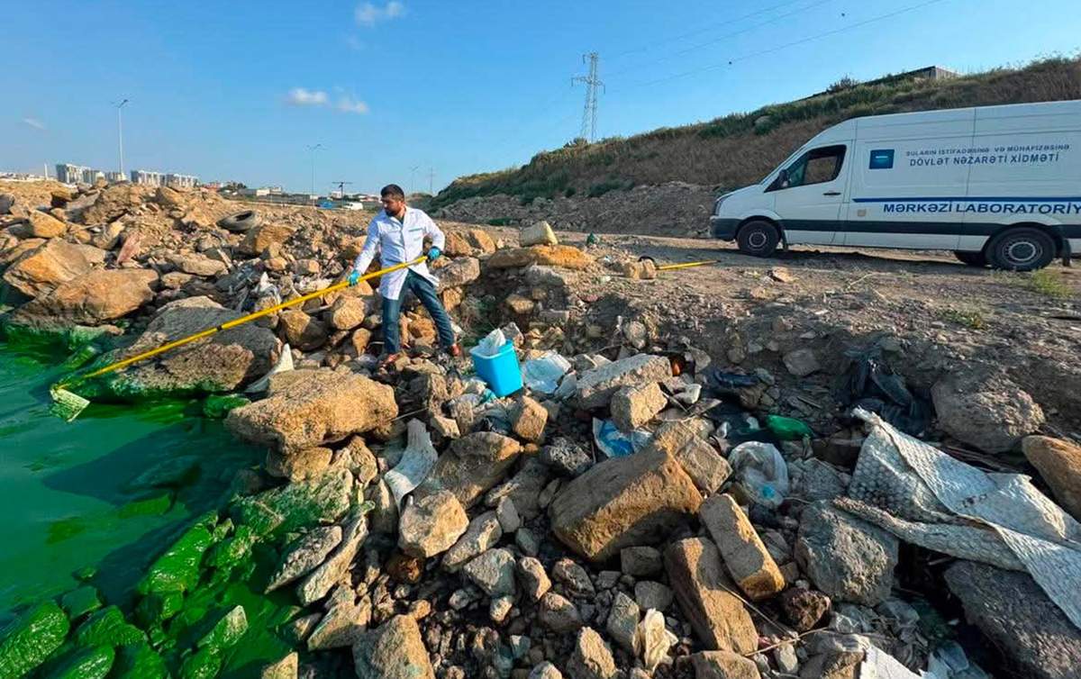 Böyükşor gölünün yaşıla bürünməsinin səbəbi - AÇIQLANDI Böyükşor gölünün yaşıla bürünməsinin səbəbi - AÇIQLANDI