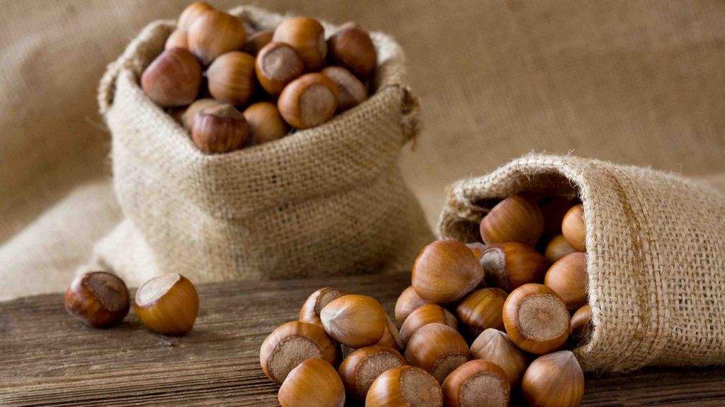 Fındığın kiloqramı 7 manat BAHALAŞDI Fındığın kiloqramı 7 manat BAHALAŞDI