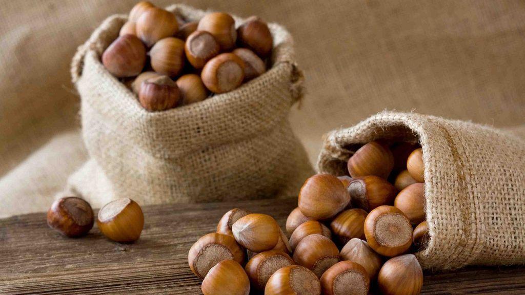 Fındığın kiloqramı 7 manat BAHALAŞDI