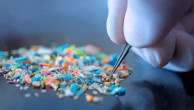 Bu qidalarda daha çox mikroplastiklər aşkarlanıb - ADLAR Bu qidalarda daha çox mikroplastiklər aşkarlanıb - ADLAR