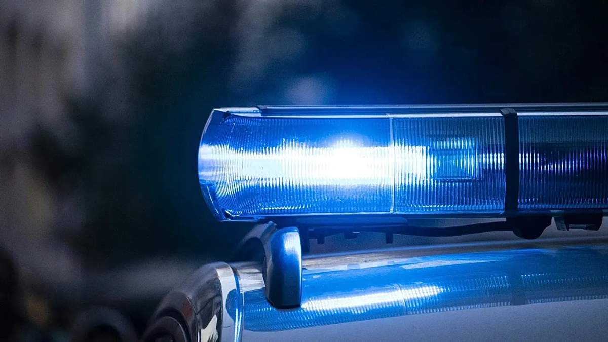 Almaniyada meşədə Rusiya agentləri üçün silah anbarı aşkarlanıb Almaniyada meşədə Rusiya agentləri üçün silah anbarı aşkarlanıb