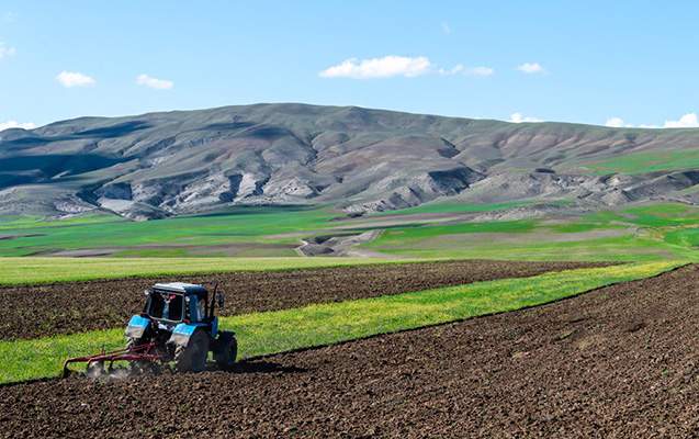 Əkin sahəsində meyit tapıldı Əkin sahəsində meyit tapıldı