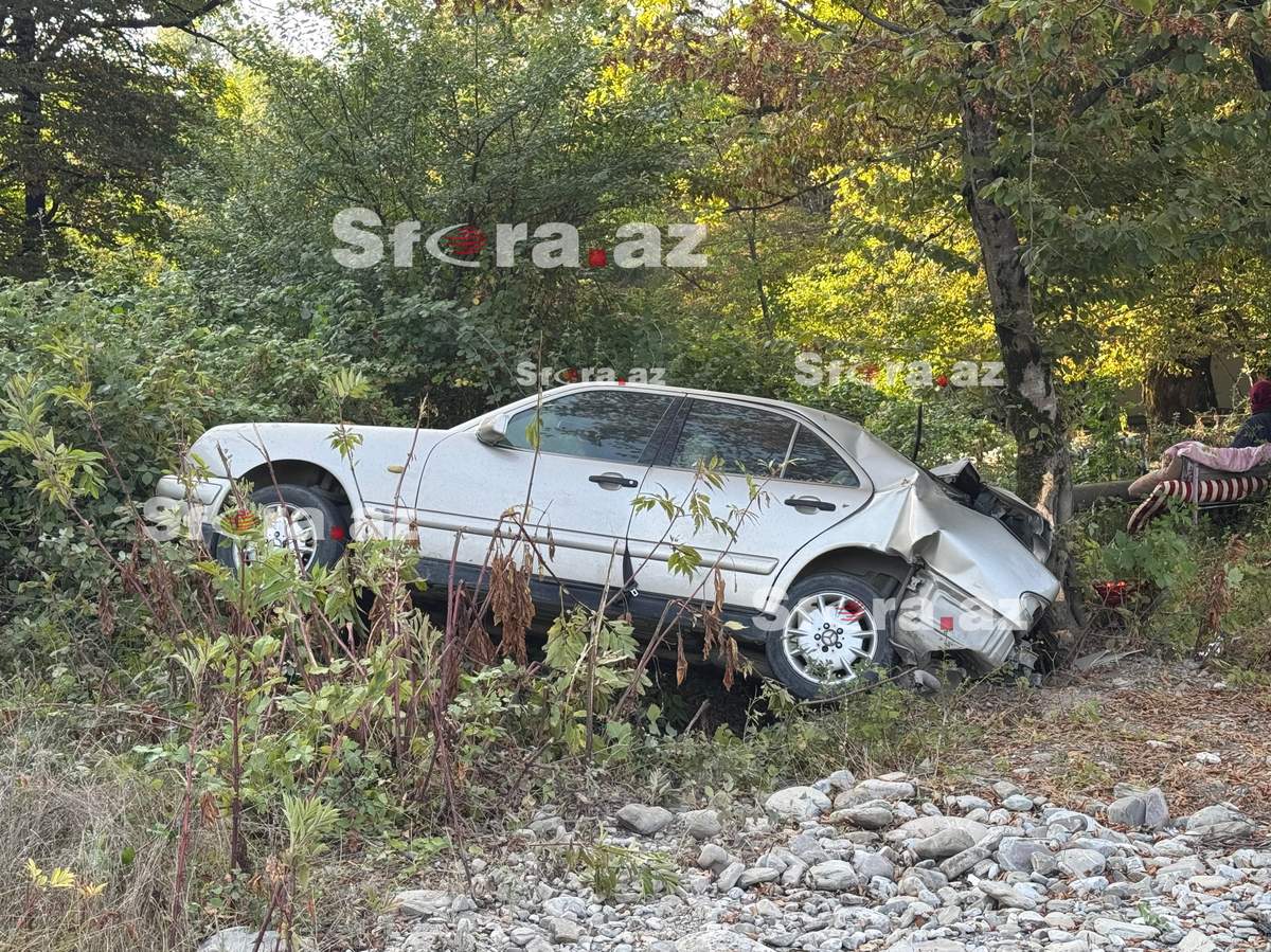 İsmayıllı-Qəbələ yolunda it qəza yaratdı: "Mercedes" ağaca çırpıldı İsmayıllı-Qəbələ yolunda it qəza yaratdı: "Mercedes" ağaca çırpıldı