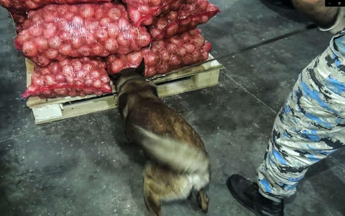 Soğan yükündən 25 kiloqram marixuana aşkarlandı