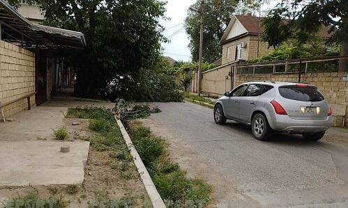 Mingəçevirdə güclü külək ağacları sındırdı Mingəçevirdə güclü külək ağacları sındırdı