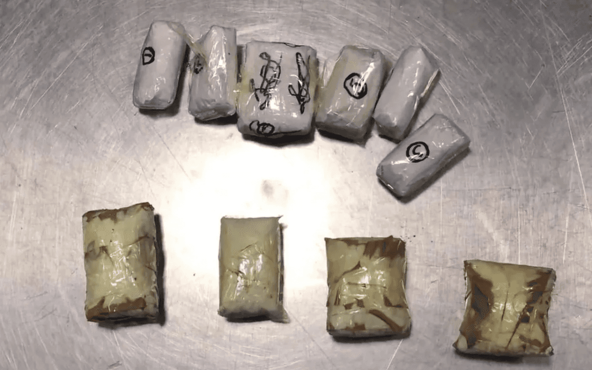 Xəzər rayonunda 33 kiloqrama yaxın narkotik aşkarlandı Xəzər rayonunda 33 kiloqrama yaxın narkotik aşkarlandı