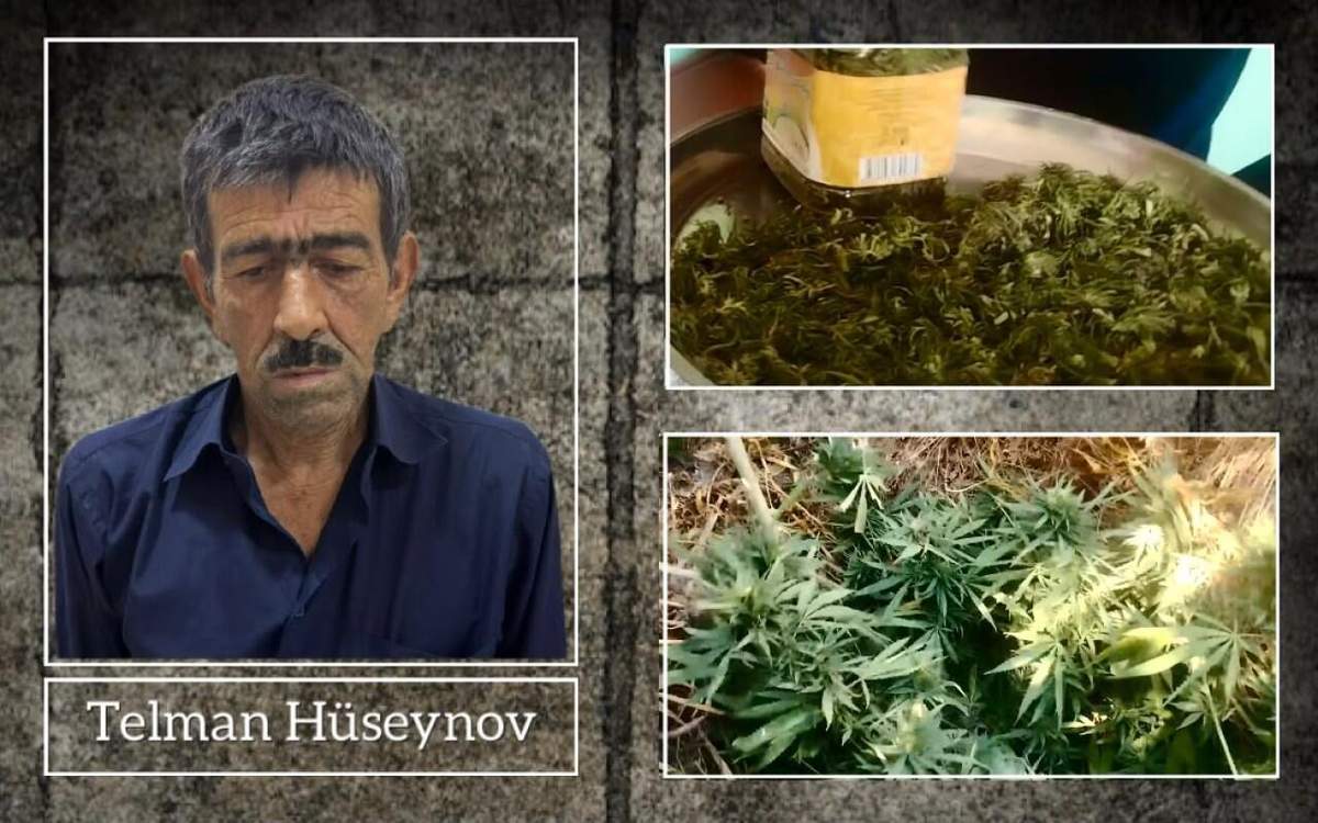 Ucarda narkotik yetişdirən şəxs saxlanıldı Ucarda narkotik yetişdirən şəxs saxlanıldı