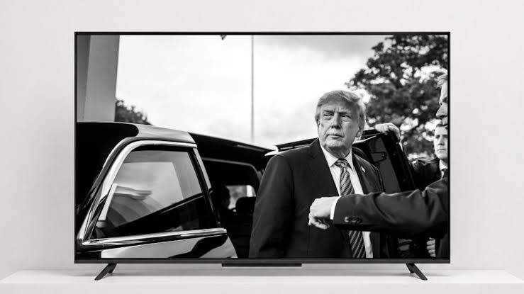 “Tramp TV" istifadəyə verildi “Tramp TV" istifadəyə verildi