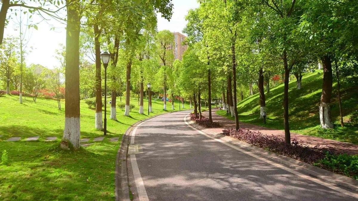 Bakıda yeni park salınır