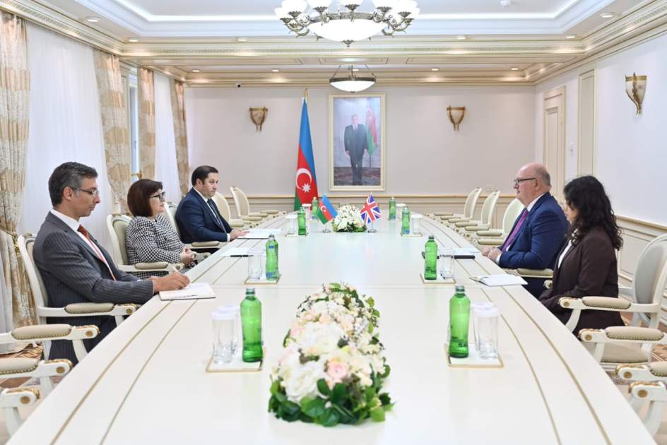 Sahibə Qafarova yeni səfirlə görüşdü Sahibə Qafarova yeni səfirlə görüşdü