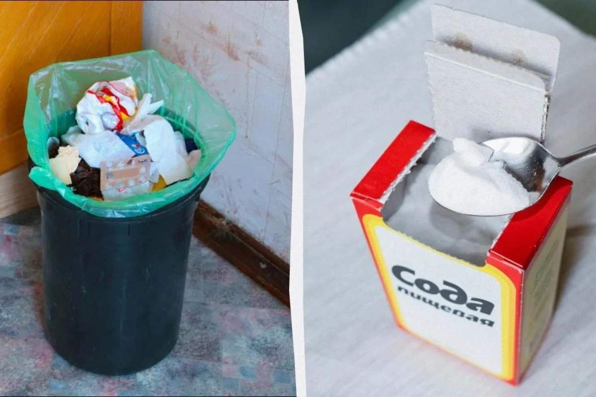 Zibil qabındakı xoşagəlməz qoxulardan necə qurtulmaq olar? Zibil qabındakı xoşagəlməz qoxulardan necə qurtulmaq olar?