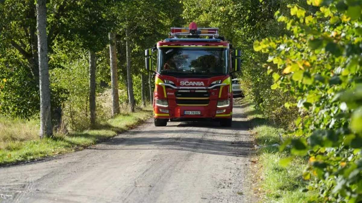 Ovçu qrupuna silahlı hücum- 2 nəfər öldü Ovçu qrupuna silahlı hücum- 2 nəfər öldü