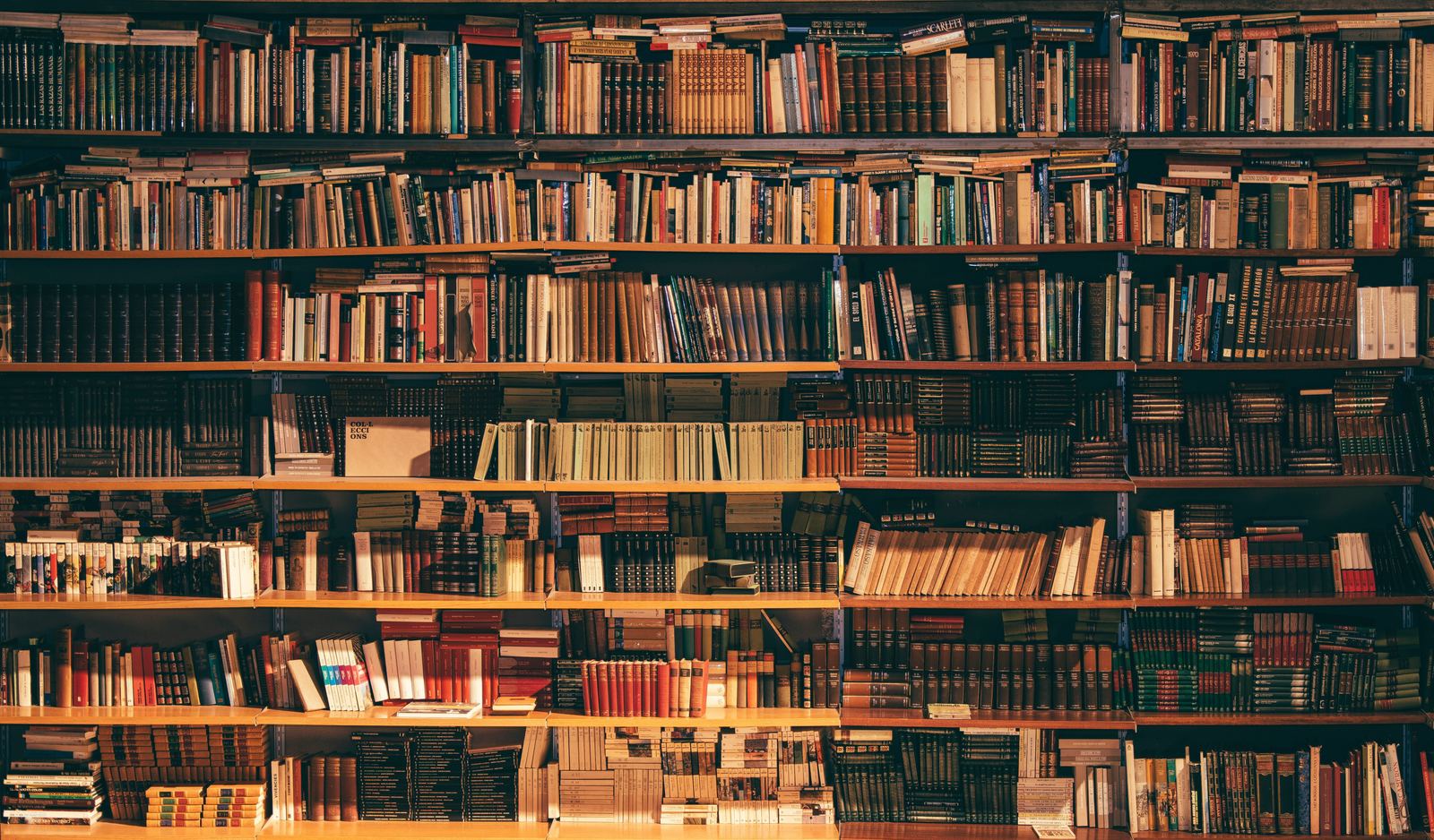 Həyata baxışınızı dəyişə biləcək 5 kitab – mütləq oxuyun Həyata baxışınızı dəyişə biləcək 5 kitab – mütləq oxuyun