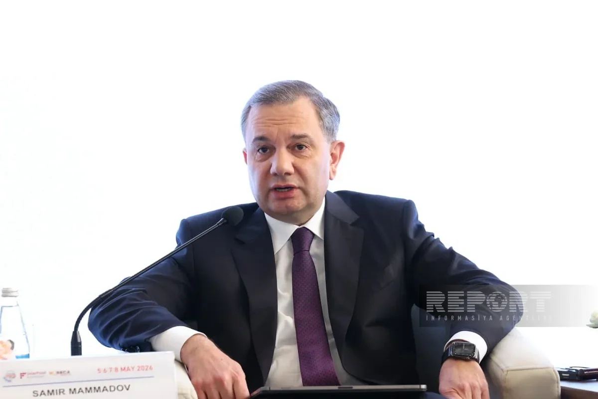 Samir Məmmədov: 16 yaşdan aşağı şəxslər üçün platformalarda fərdi hesabların yaradılması qadağan ediləcək Samir Məmmədov: 16 yaşdan aşağı şəxslər üçün platformalarda fərdi hesabların yaradılması qadağan ediləcək