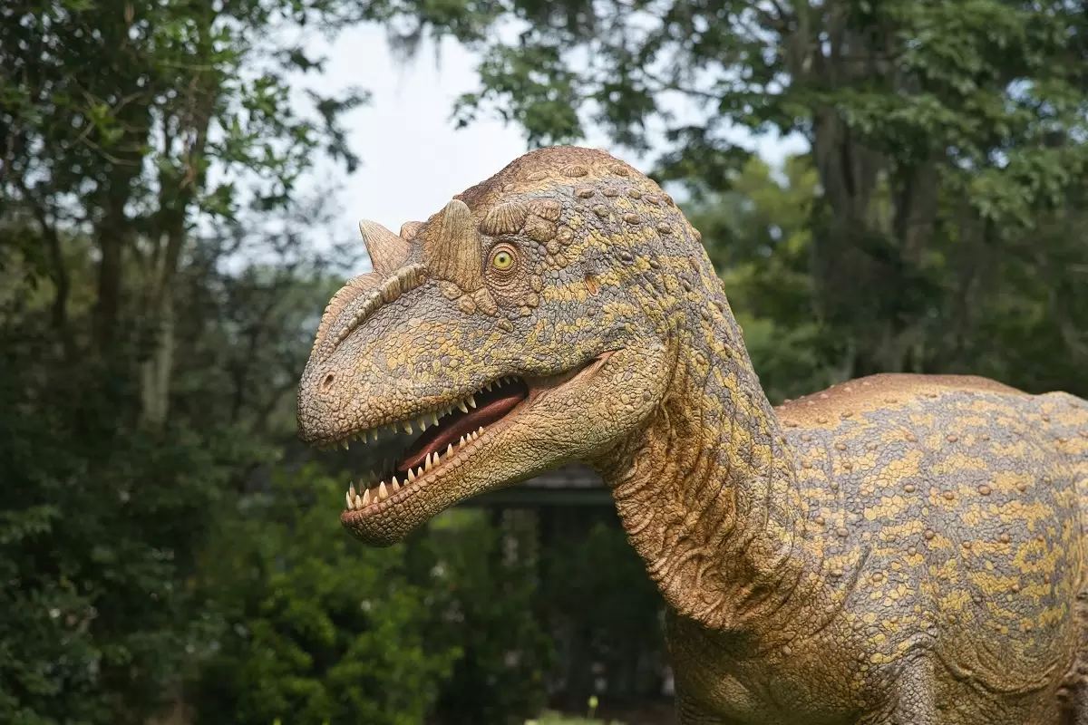 İngiltərədə yeni dinozavr növü kəşf edildi İngiltərədə yeni dinozavr növü kəşf edildi