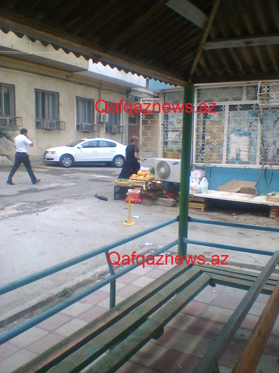Foto0044