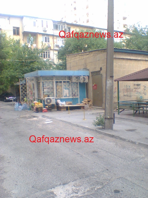 Foto0041