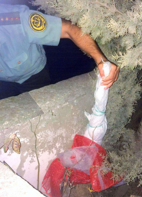 Bakıda ŞOK OLAY! Qəbirdən görün nə çıxdı - FOTOLAR