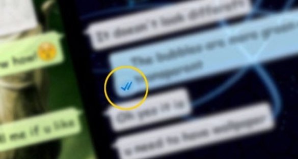Üzə çıxan bu WhatsApp yazışmaları sosial şəbəkələri SİLKƏLƏYƏCƏK - FOTOLAR