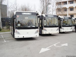 Sumqayıta 70 yeni avtobus gətirilir