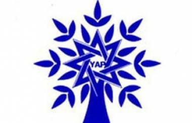 YAP-çı gənclər İlham Əliyevin seçkilərdə qələbəsi münasibətilə yürüş keçirir