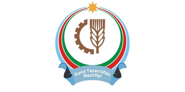 Azərbaycanda yeni assosiasiya yaradıldı