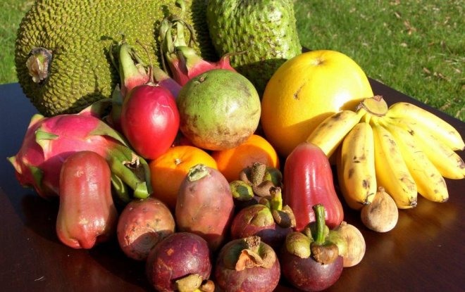 “Mövsümə uyğun olmayan meyvələr xərçəng yaradır” - Tibb elmləri doktorundan həyacanlı açıqlama