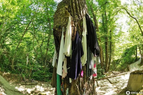 Azərbaycandakı bu “pir”də ağacdan alt paltarı asırlar - FOTO