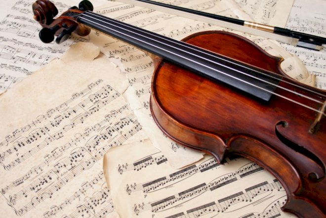 Musiqiçi 250 minlik skripkanı qatarda unutdu
