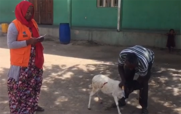 Xuraman Şuşalı 4-cü övladına Afrikada qurban kəsdirdi - VİDEO
