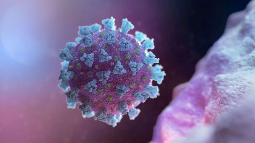 Albaniyada koronavirusa ilk yoluxma halı aşkarlandı