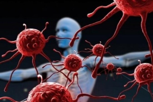 Dünyanın ən təhlükəli 10 virusu: Koronavirus onların yanında toya getməlidi